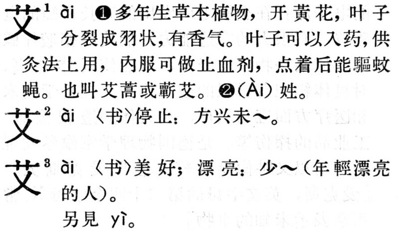 File:艾.現漢(試用本).jpg