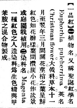 一品紅.辭源(改編本).jpg