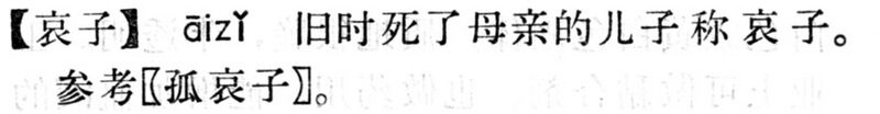 File:哀子.現漢(試用本).jpg