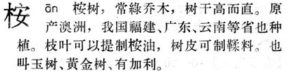 桉.現漢(試用本).jpg
