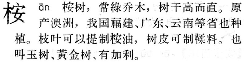 File:桉.現漢(試用本).jpg