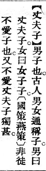 File:丈夫子.辭源(改編本).jpg