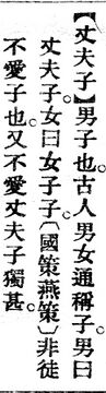丈夫子.辭源(改編本).jpg