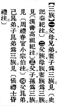 三族.辭源(改編本).jpg