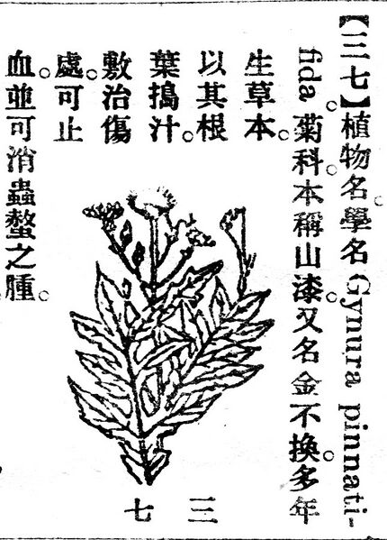 File:三七.辭源(改編本).jpg