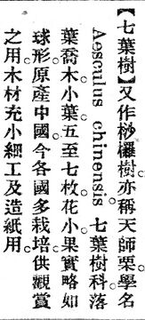 七葉樹.辭源(改編本).jpg