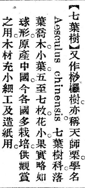File:七葉樹.辭源(改編本).jpg