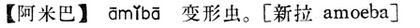 阿米巴.現漢(試用本).jpg
