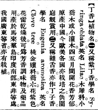丁香.辭源(改編本).jpg