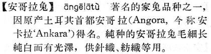 安哥拉兔.現漢(試用本).jpg