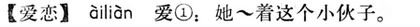 愛戀.現漢(試用本).jpg