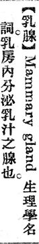 乳腺.辭源(改編本).jpg
