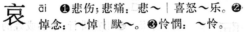 File:哀.現漢(試用本).jpg