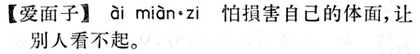 愛面子.現漢(試用本).jpg