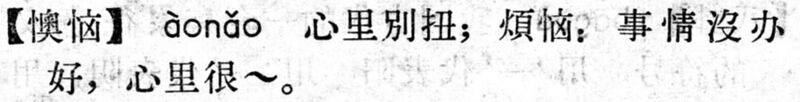 File:懊惱.現漢(試用本).jpg
