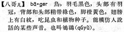 八哥.現漢(試用本).jpg