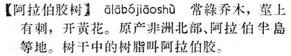 阿拉伯膠樹.現漢(試用本).jpg