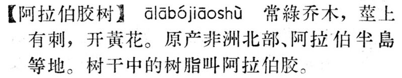 File:阿拉伯膠樹.現漢(試用本).jpg