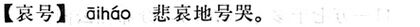 哀號.現漢(試用本).jpg