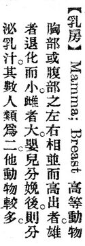 乳房.辭源(改編本).jpg