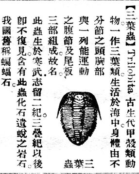 三葉蟲.辭源(改編本).jpg