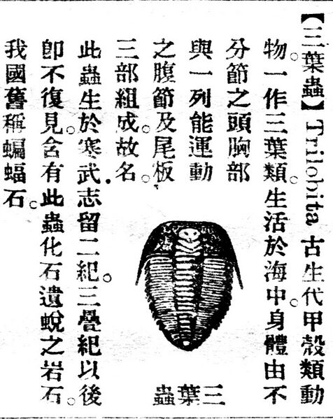 File:三葉蟲.辭源(改編本).jpg